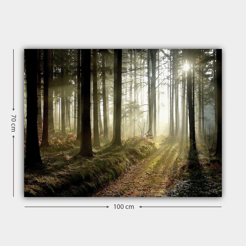 Lærred 70x100 cm - Mystisk skov med solstråler, der bryder gennem træerne - Mørkegrøn / Lysegrøn / Brun - Boligtilbehør - Billeder & kunst - Billeder på lærred