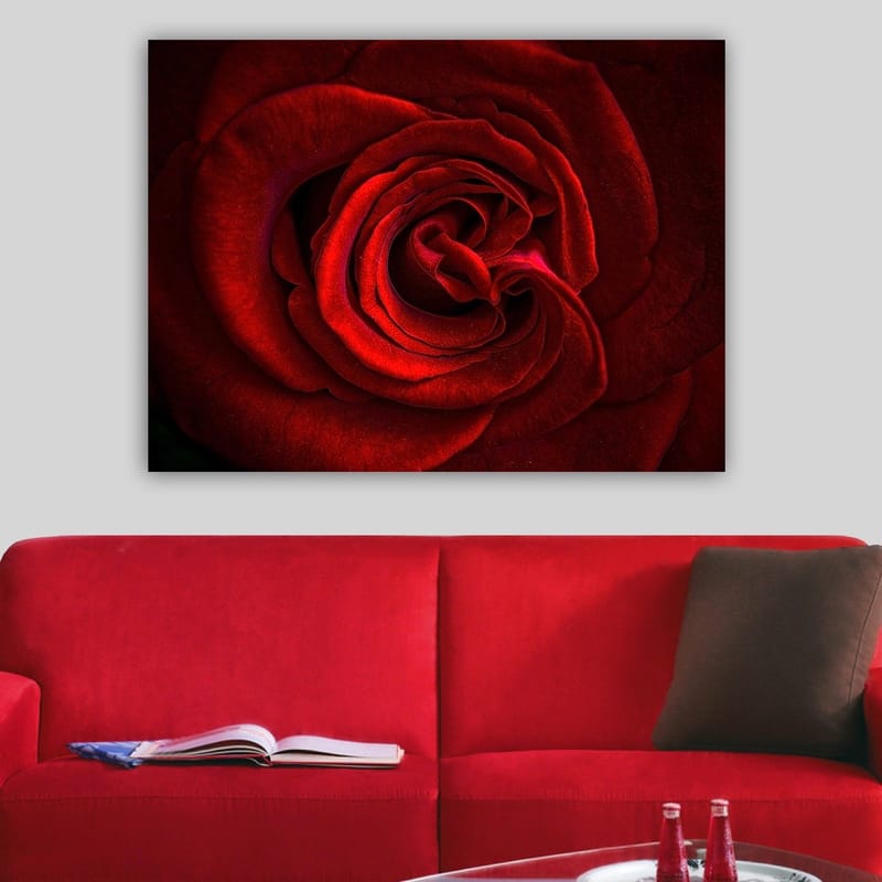 Lærred 70x100 cm - Nærbillede af en smuk rød rose med detaljerede kronblade - Rød / Mørkerød - Boligtilbehør - Billeder & kunst - Billeder på lærred