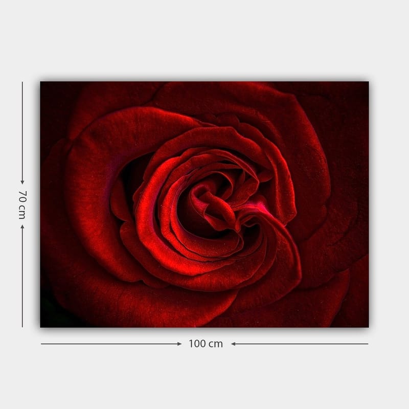 Lærred 70x100 cm - Nærbillede af en smuk rød rose med detaljerede kronblade - Rød / Mørkerød - Boligtilbehør - Billeder & kunst - Billeder på lærred