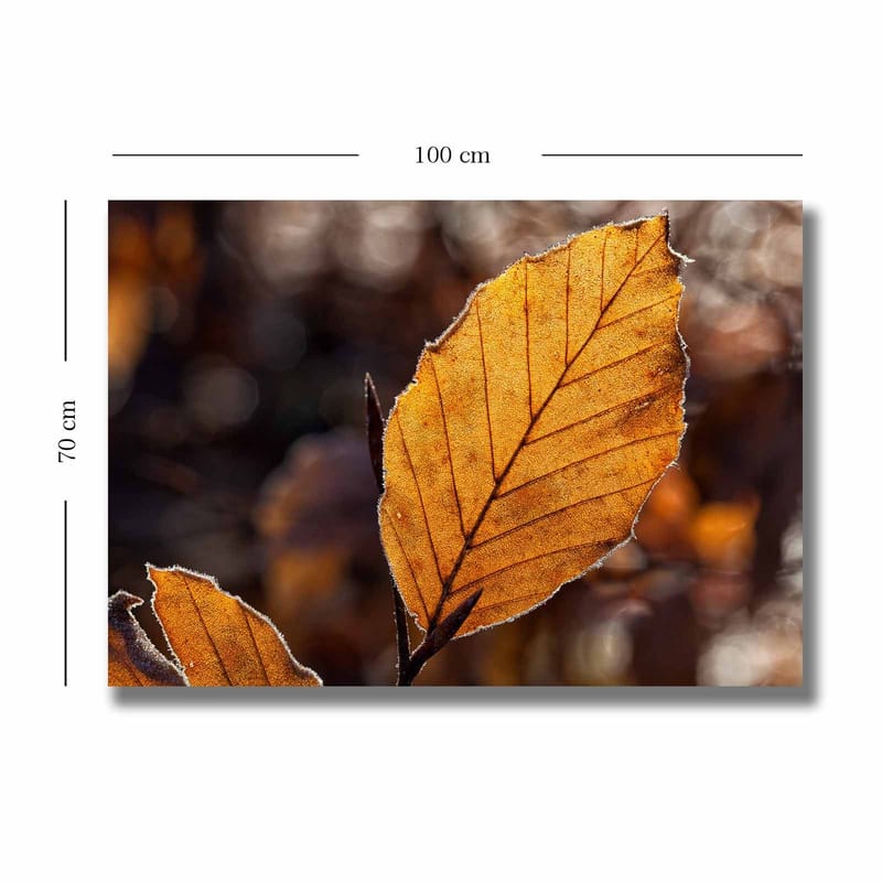 Lærred 70x100 cm - Nærbillede af et gyldent efterårsblad med detaljerede årer - Gyldenorange / Brun - Boligtilbehør - Billeder & kunst - Billeder på lærred