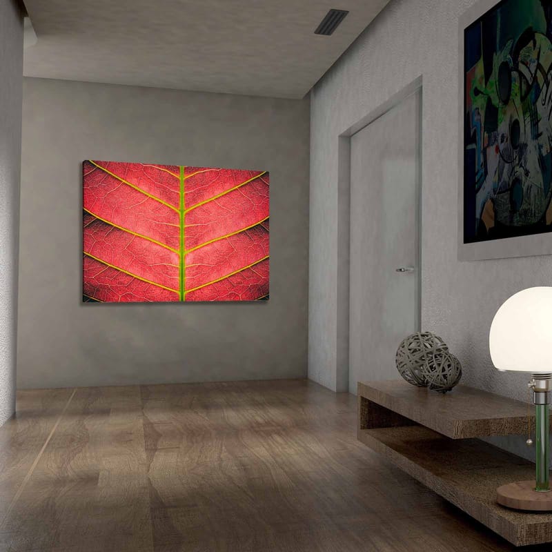 Lærred 70x100 cm - Nærbillede af et rødligt blad med detaljerede årer - Rød / Grøn - Boligtilbehør - Billeder & kunst - Billeder på lærred