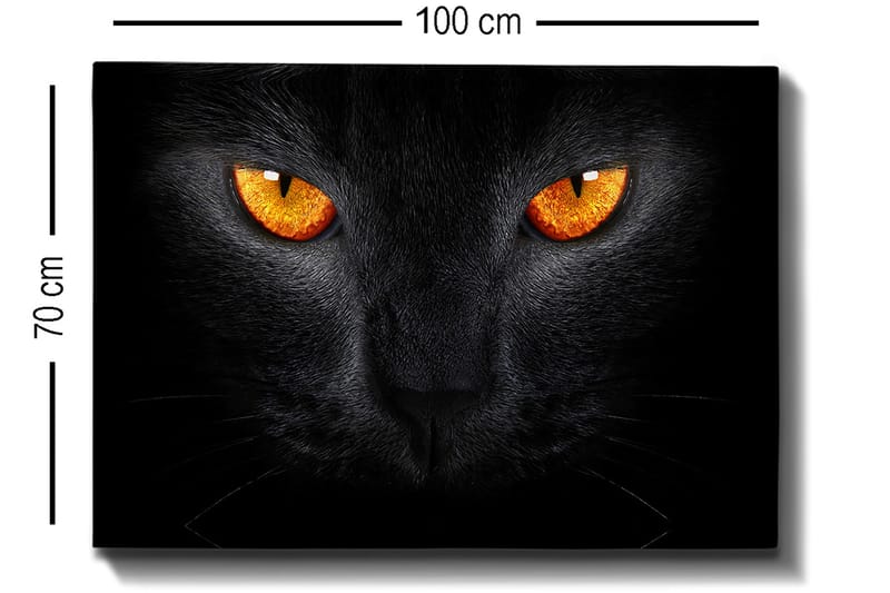 Lærred 70x100 cm - Nærbillede af et sort kattehoved med intense øjne - Sort / Orange - Boligtilbehør - Billeder & kunst - Billeder på lærred