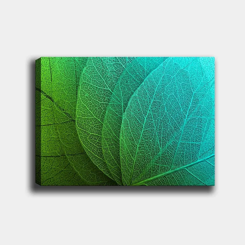 Lærred 70x100 cm - Nærbillede af grønne og turkise blade med detaljeret åremønster, Grøn / Turkis