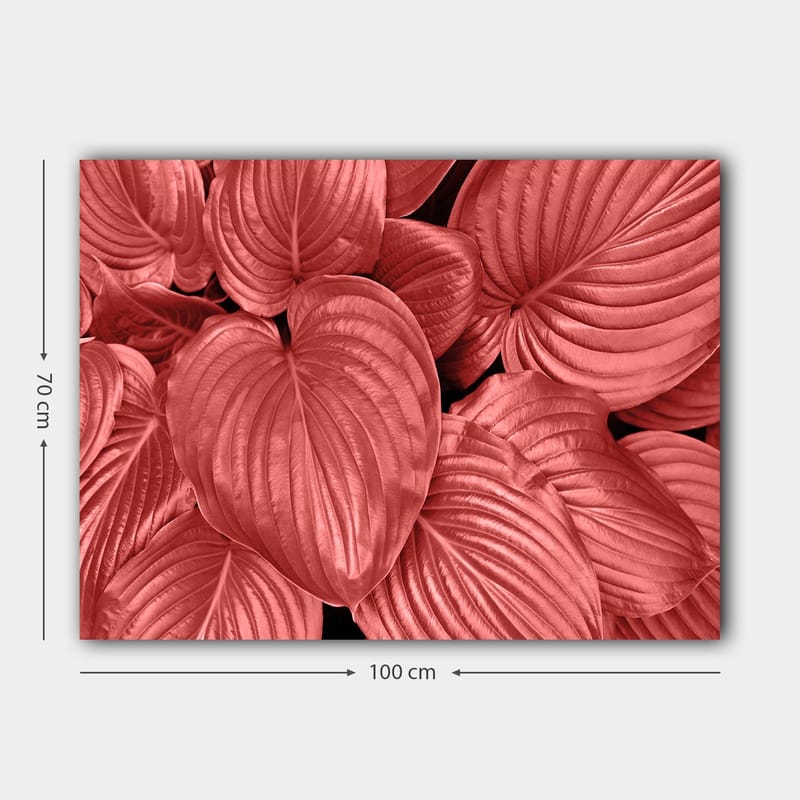 Lærred 70x100 cm - Nærbillede af smukke, røde blade med klare årer - Rød / Sort - Boligtilbehør - Billeder & kunst - Billeder på lærred