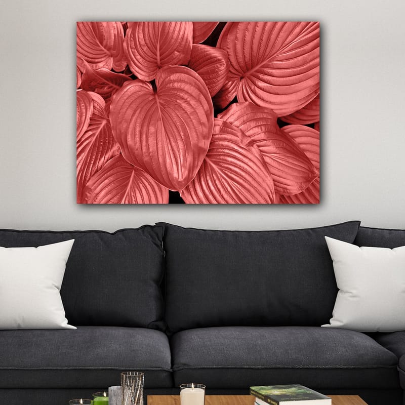 Lærred 70x100 cm - Nærbillede af smukke, røde blade med klare årer - Rød / Sort - Boligtilbehør - Billeder & kunst - Billeder på lærred