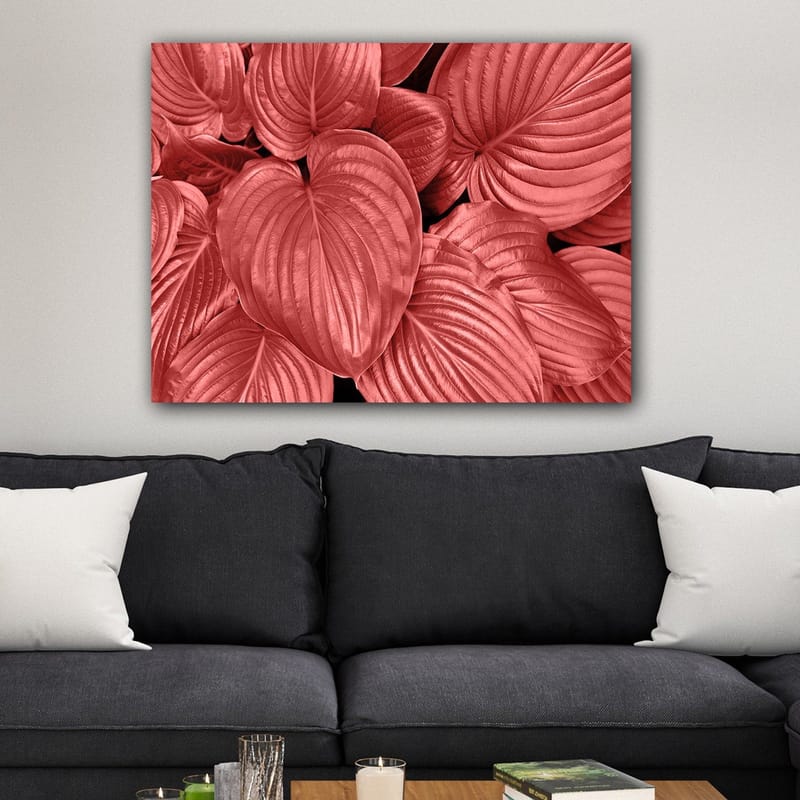 Lærred 70x100 cm - Nærbillede af smukke, røde blade med klare årer - Rød / Sort - Boligtilbehør - Billeder & kunst - Billeder på lærred