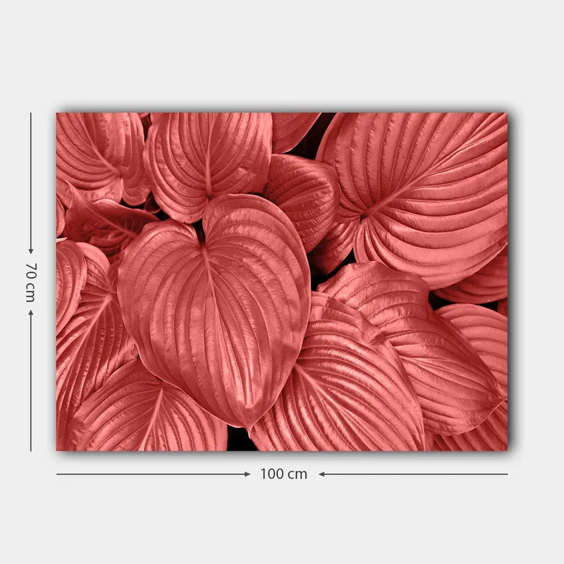 Lærred 70x100 cm - Nærbillede af smukke, røde blade med klare årer - Rød / Sort - Boligtilbehør - Billeder & kunst - Billeder på lærred