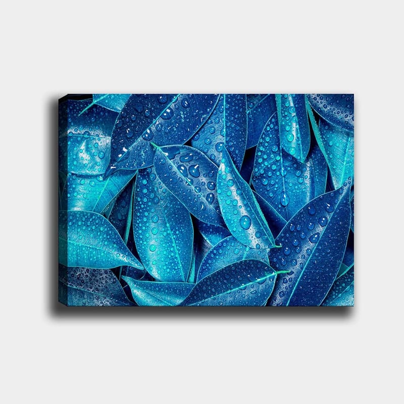 Lærred 70x100 cm - Nærbillede af vanddråber på grønne blade, der skaber en frisk og levende følelse, Blå / Turkis