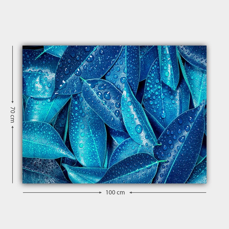 Lærred 70x100 cm - Nærbillede af vanddråber på grønne blade, der skaber en frisk og levende følelse - Blå / Turkis - Boligtilbehør - Billeder & kunst - Billeder på lærred