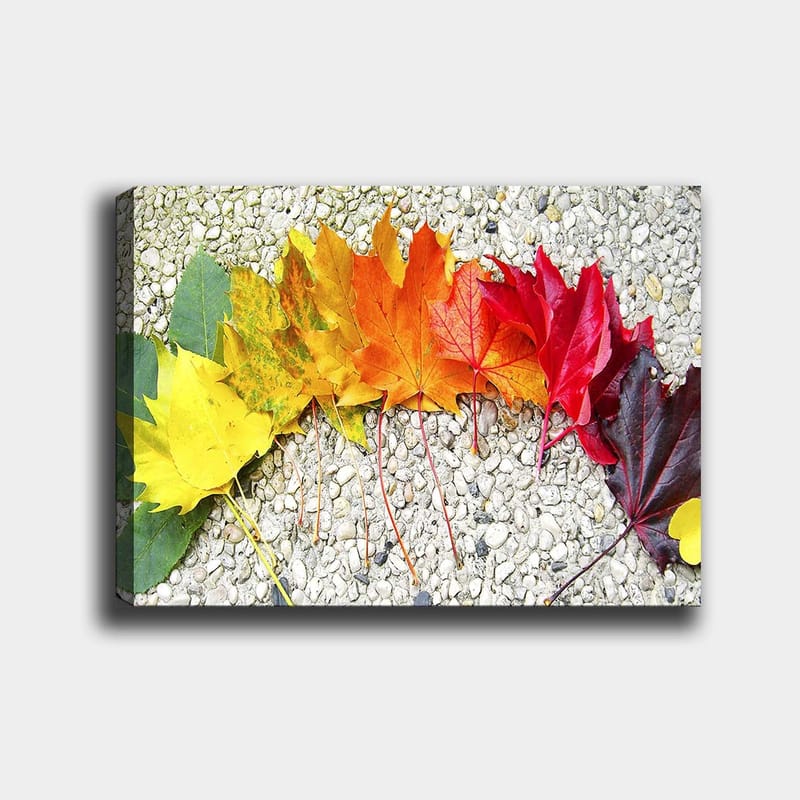 Lærred 70x100 cm - Række af farverige efterårsblade i forskellige nuancer, der viser naturens skønhed, Rød / Orange / Gul