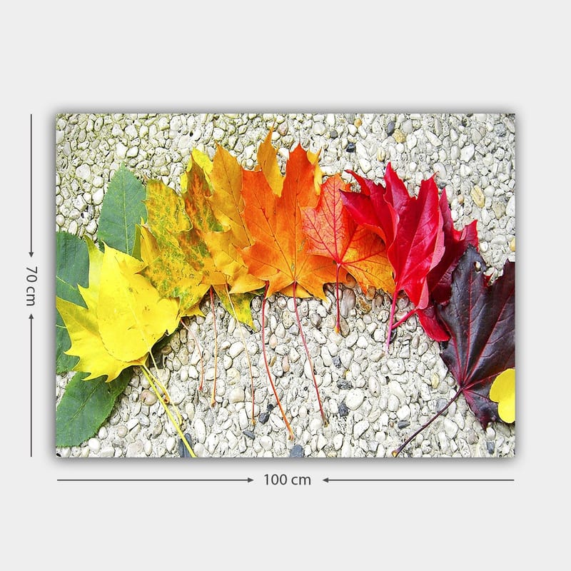 Lærred 70x100 cm - Række af farverige efterårsblade i forskellige nuancer, der viser naturens skønhed - Rød / Orange / Gul - Boligtilbehør - Billeder & kunst - Billeder på lærred
