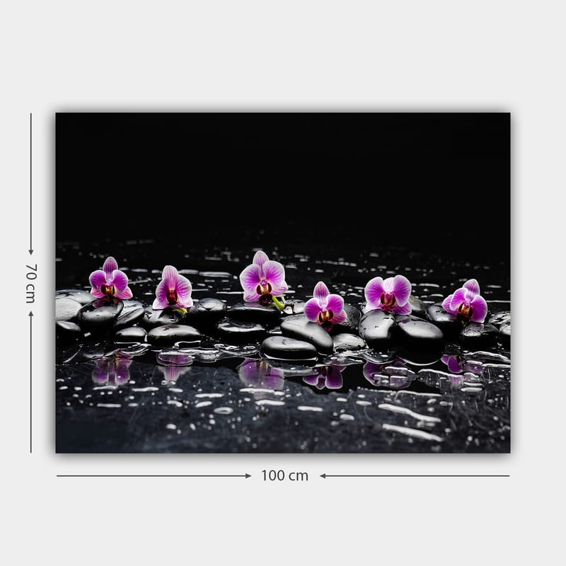 Lærred 70x100 cm - Række af lilla orkideer hvilende på sorte sten med refleksioner i vand - Lilla / Sort - Boligtilbehør - Billeder & kunst - Billeder på lærred