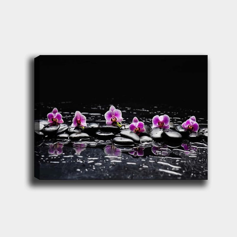 Lærred 70x100 cm - Række af lilla orkideer hvilende på sorte sten med refleksioner i vand, Lilla / Sort