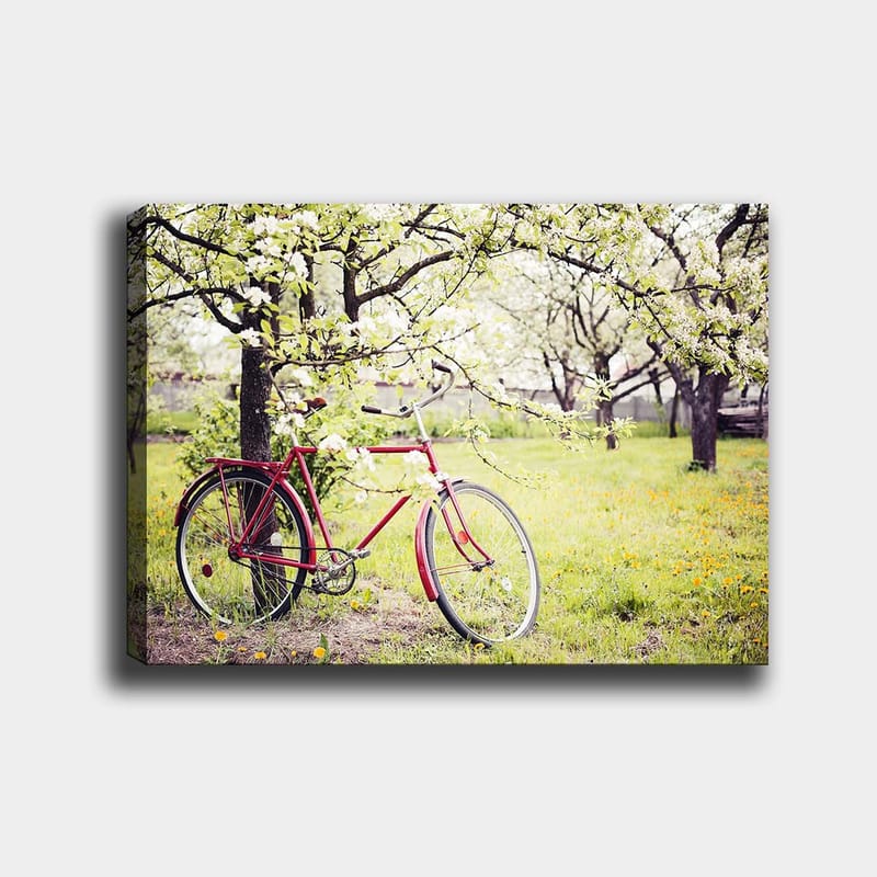 Lærred 70x100 cm - Rød cykel stående under blomstrende træer i et frodigt miljø - Rød / Grøn / Hvid - Boligtilbehør - Billeder & kunst - Billeder på lærred