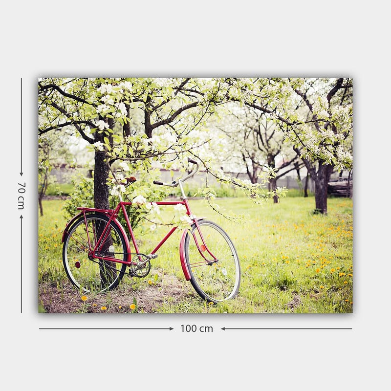 Lærred 70x100 cm - Rød cykel stående under blomstrende træer i et frodigt miljø - Rød / Grøn / Hvid - Boligtilbehør - Billeder & kunst - Billeder på lærred