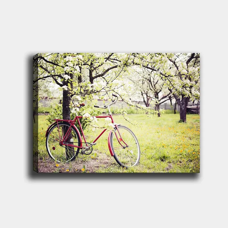 Lærred 70x100 cm - Rød cykel stående under blomstrende træer i et frodigt miljø - Rød / Grøn / Hvid - Boligtilbehør - Billeder & kunst - Billeder på lærred