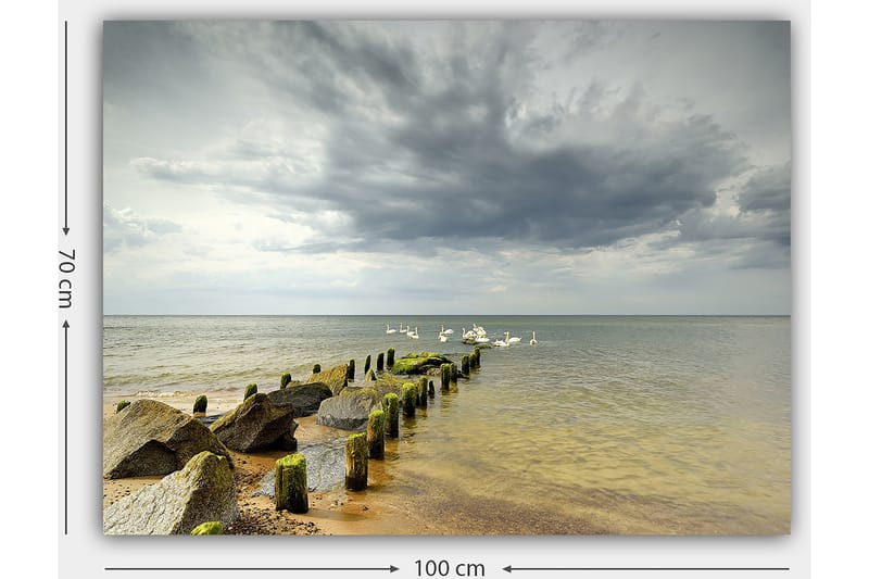 Lærred 70x100 cm - Rolig sø med svaner, der svømmer ved en mole omgivet af klipper - Grå / Grøn / Blå - Boligtilbehør - Billeder & kunst - Billeder på lærred
