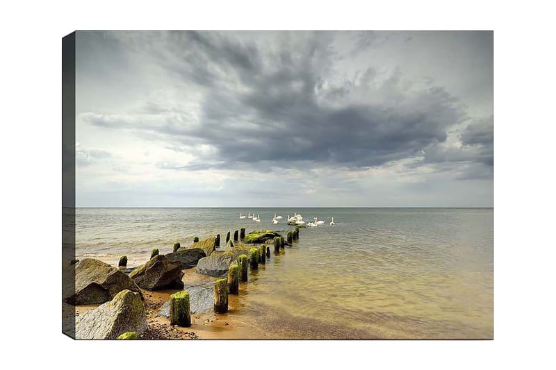 Lærred 70x100 cm - Rolig sø med svaner, der svømmer ved en mole omgivet af klipper, Grå / Grøn / Blå