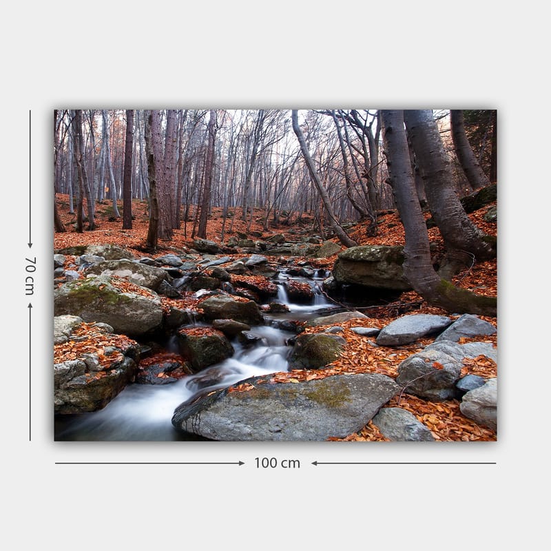 Lærred 70x100 cm - Rolig skovscene med en rislende bæk omgivet af efterårsfarvede blade og sten - Grå / Orange / Brun - Boligtilbehør - Billeder & kunst - Billeder på lærred