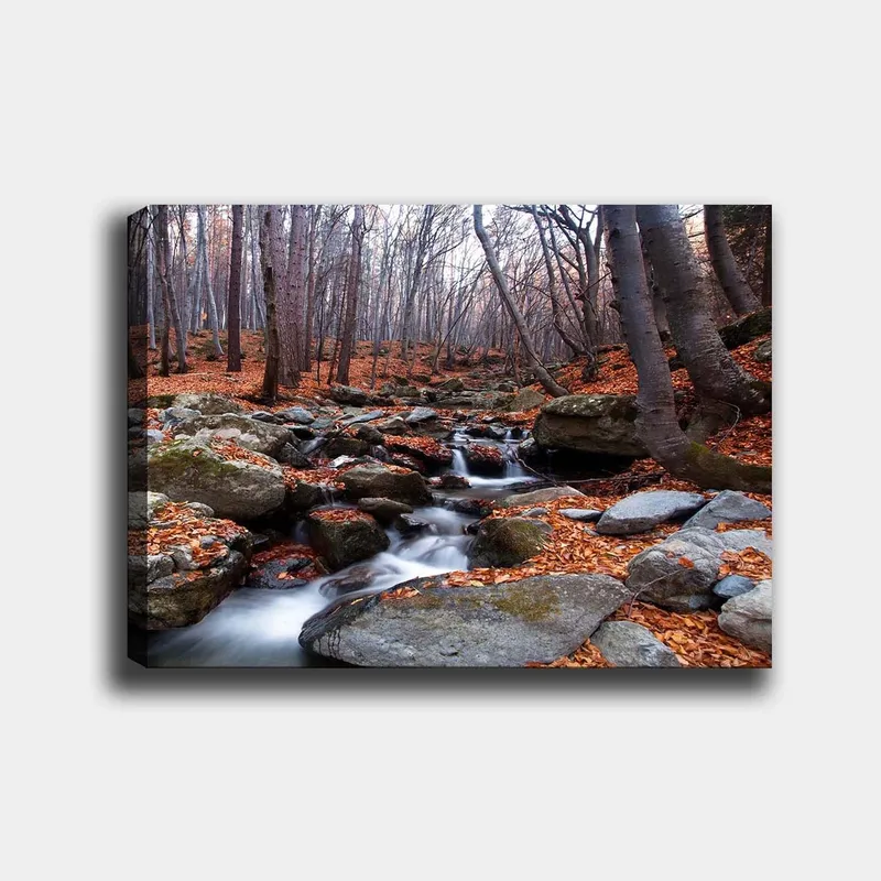 Lærred 70x100 cm - Rolig skovscene med en rislende bæk omgivet af efterårsfarvede blade og sten, Grå / Orange / Brun