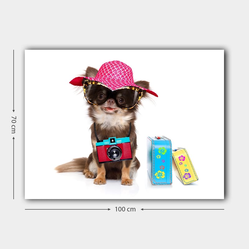 Lærred 70x100 cm - Sød chihuahua med solhat og solbriller og et kamera hængende om halsen - Lyserød / Blå / Rød - Boligtilbehør - Billeder & kunst - Billeder på lærred