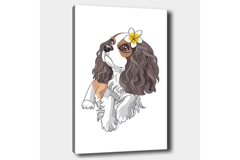 Lærred 70x100 cm - Sød hund med krøllet hår og en blomst i øret - Brun / Hvid / Sort - Boligtilbehør - Billeder & kunst - Billeder på lærred