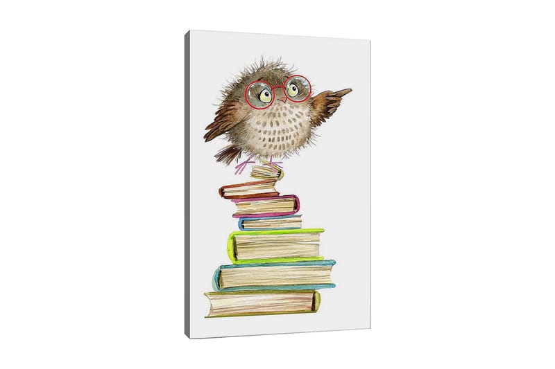 Lærred 70x100 cm - Sød ugle med briller pegende, siddende på en bunke farverige bøger, Brun / Grøn / Blå