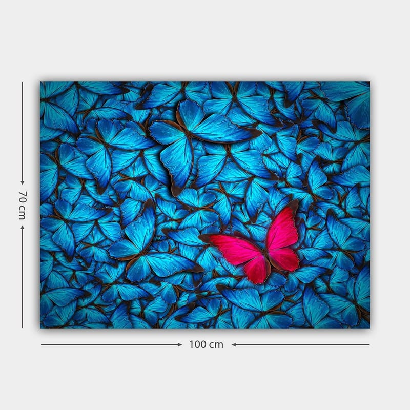 Lærred 70x100 cm - Samling af blå sommerfugle med en fremtrædende lyserød sommerfugl i midten - Blå / Lyserød - Boligtilbehør - Billeder & kunst - Billeder på lærred