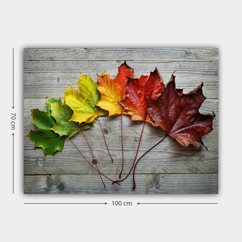 Lærred 70x100 cm - Samling af farverige efterårsblade i forskellige nuancer på en træoverflade - Grøn / Gul / Rød - Boligtilbeh�ør - Billeder & kunst - Billeder på lærred