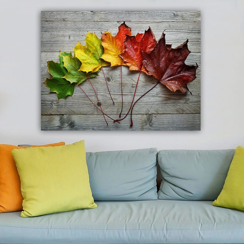 Lærred 70x100 cm - Samling af farverige efterårsblade i forskellige nuancer på en træoverflade - Grøn / Gul / Rød - Boligtilbehør - Billeder & kunst - Billeder på lærred