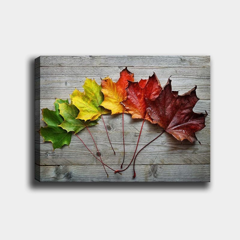 Lærred 70x100 cm - Samling af farverige efterårsblade i forskellige nuancer på en træoverflade, Grøn / Gul / Rød