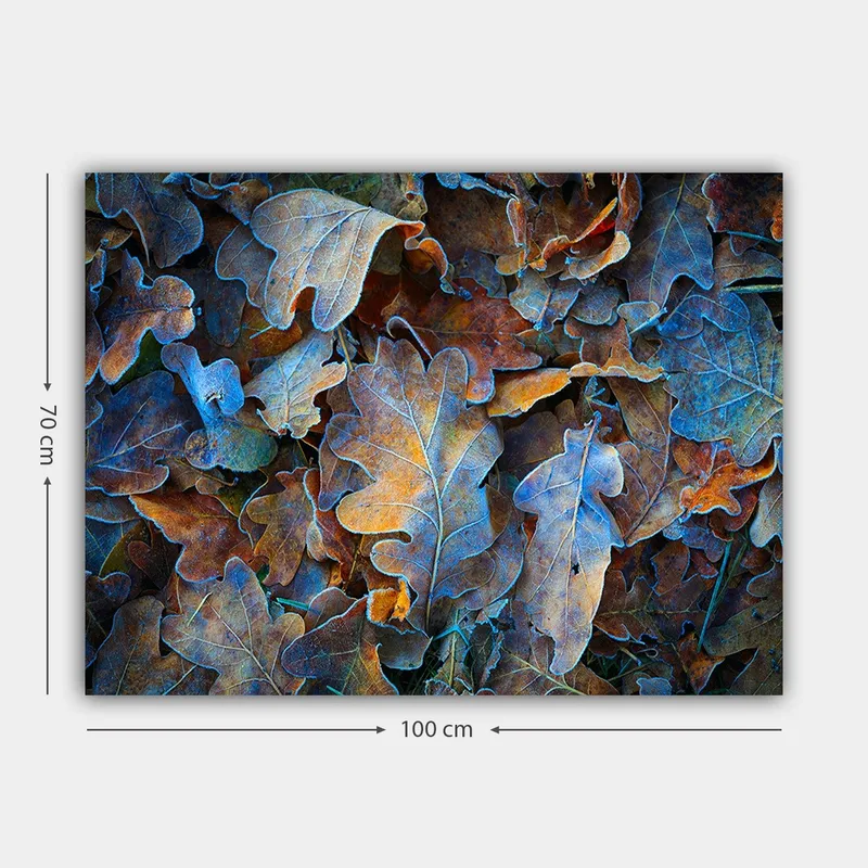 Lærred 70x100 cm - Samling af farverige egetræsblade i forskellige nuancer, der skaber en harmonisk og naturlig komposition - Blå / Orange / Brun - Boligtilbehør - Billeder & kunst - Billeder på lærred