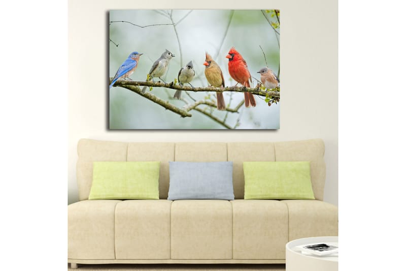 Lærred 70x100 cm - Samling af farverige fugle siddende på en gren - Blå / Rød / Grå - Boligtilbehør - Billeder & kunst - Billeder på lærred