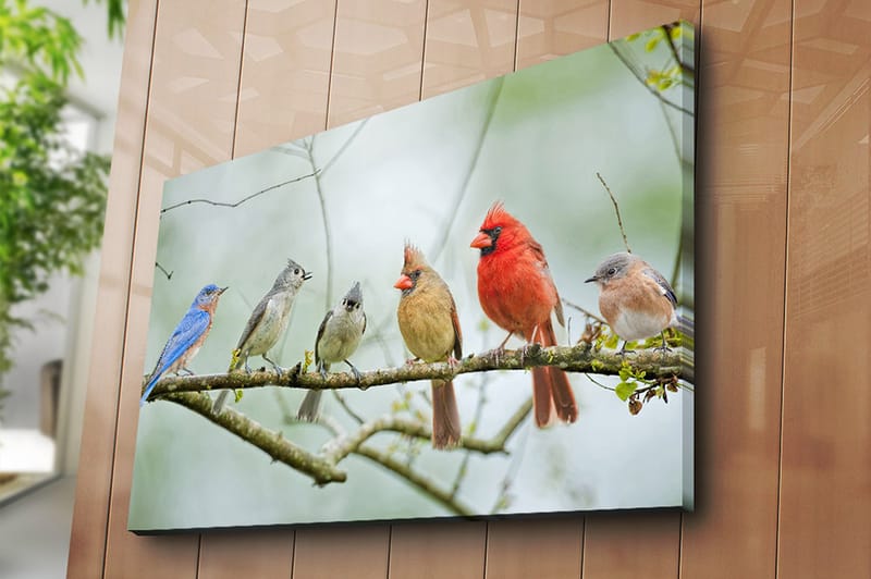 Lærred 70x100 cm - Samling af farverige fugle siddende på en gren - Blå / Rød / Grå - Boligtilbehør - Billeder & kunst - Billeder på lærred