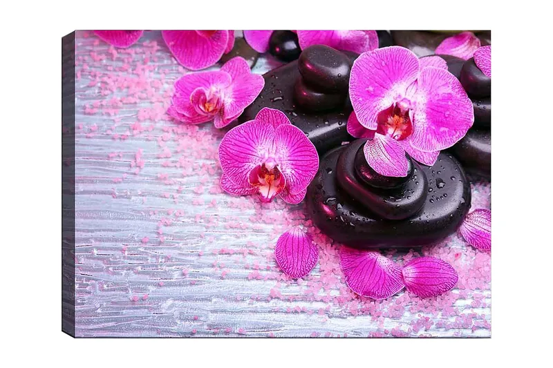 Lærred 70x100 cm - Samling af lilla orkideer og sorte sten på en lys baggrund, Lilla / Sort