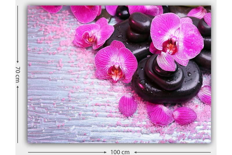 Lærred 70x100 cm - Samling af lilla orkideer og sorte sten på en lys baggrund - Lilla / Sort - Boligtilbehør - Billeder & kunst - Billeder på lærred