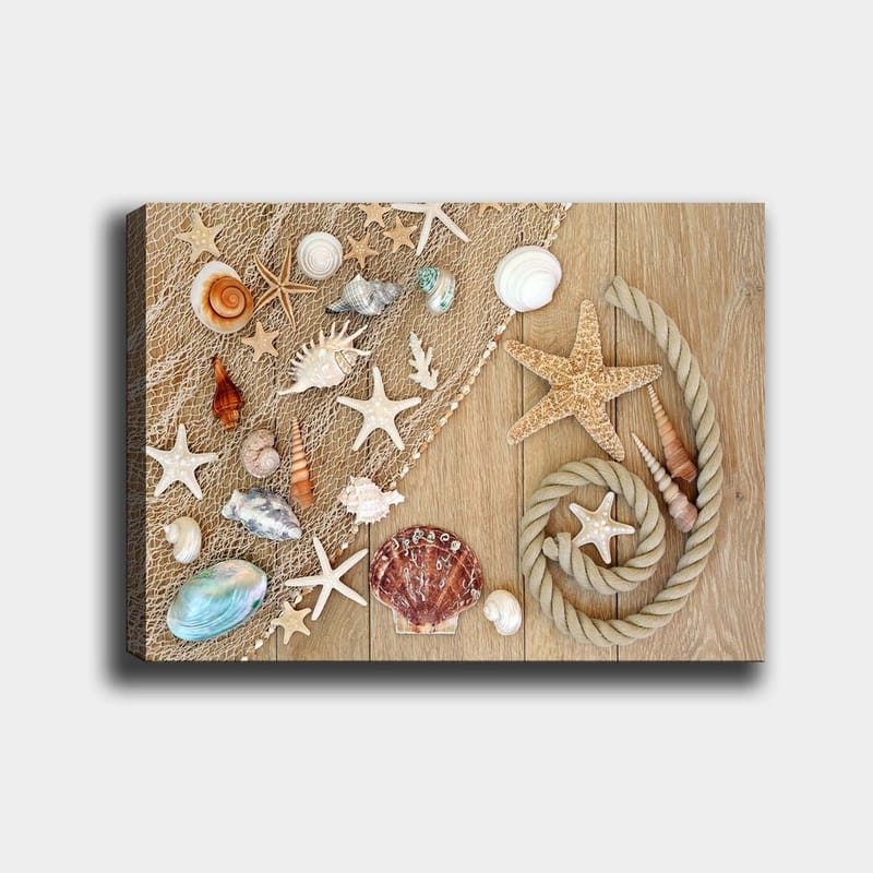 Lærred 70x100 cm - Samling af skaller og søstjerner på en træoverflade, Beige / Hvid / Brun