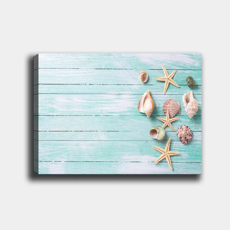 Lærred 70x100 cm - Samling af skaller og søstjerner på en lyseblå træoverflade, Lyseblå / Beige / Grøn