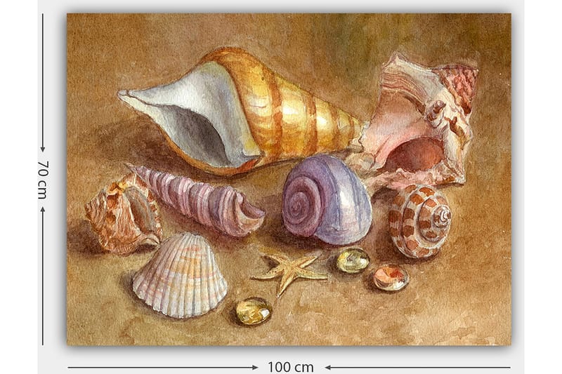 Lærred 70x100 cm - Samling af skaller og sten i bløde, naturlige farver - Beige / Lilla / Orange - Boligtilbehør - Billeder & kunst - Billeder på lærred