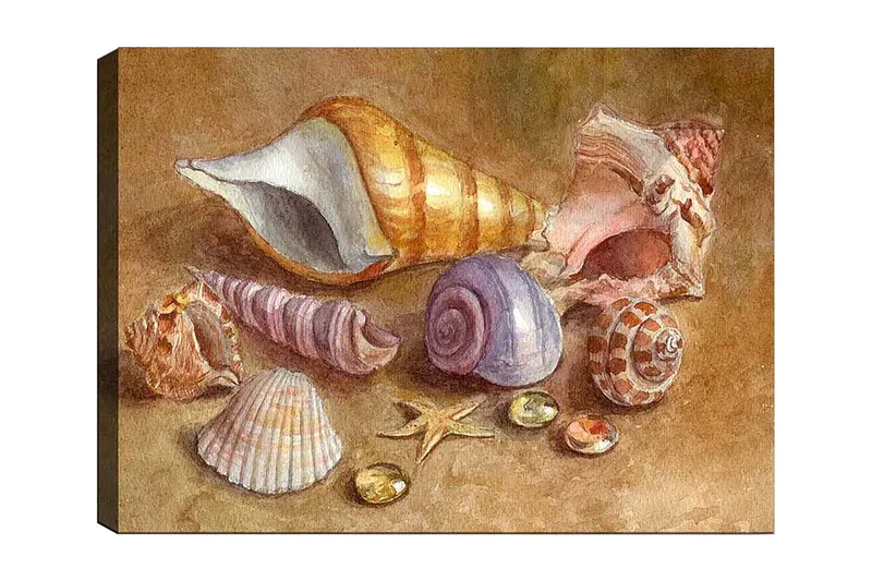 Lærred 70x100 cm - Samling af skaller og sten i bløde, naturlige farver, Beige / Lilla / Orange
