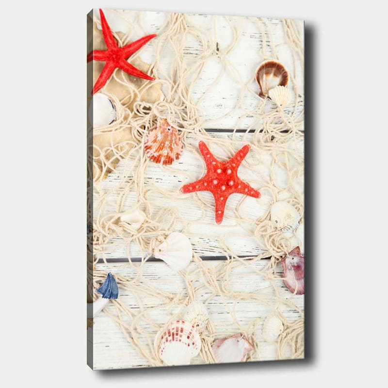 Lærred 70x100 cm - Samling af skaller og stjerneformede søstjerner på et net - Rød / Beige / Hvid - Boligtilbehør - Billeder & kunst - Billeder på lærred