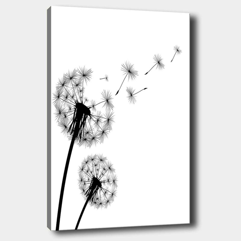 Lærred 70x100 cm - Silhuetter af mælkebøtter, der spreder deres frø i vinden, Sort / Hvid