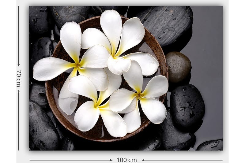 Lærred 70x100 cm - Skål med hvide blomster og sorte sten - Hvid / Sort / Gul - Boligtilbehør - Billeder & kunst - Billeder på lærred
