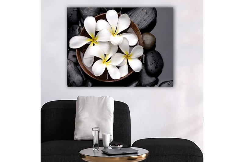 Lærred 70x100 cm - Skål med hvide blomster og sorte sten - Hvid / Sort / Gul - Boligtilbehør - Billeder & kunst - Billeder på lærred