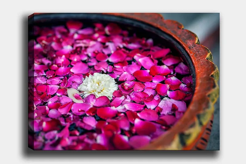 Lærred 70x100 cm - Skål med lyserøde rosenblade og en hvid blomst, der flyder på overfladen, Lyserød / Hvid