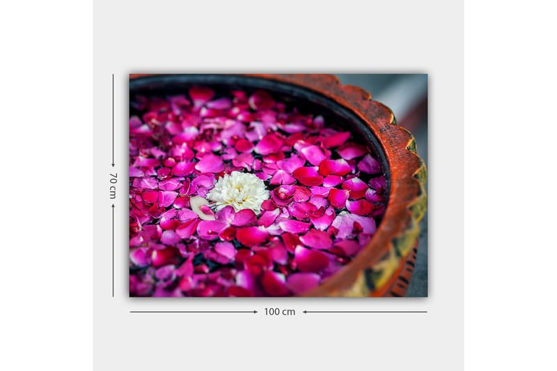 Lærred 70x100 cm - Skål med lyserøde rosenblade og en hvid blomst, der flyder på overfladen - Lyserød / Hvid - Boligtilbehør - Billeder & kunst - Billeder på lærred