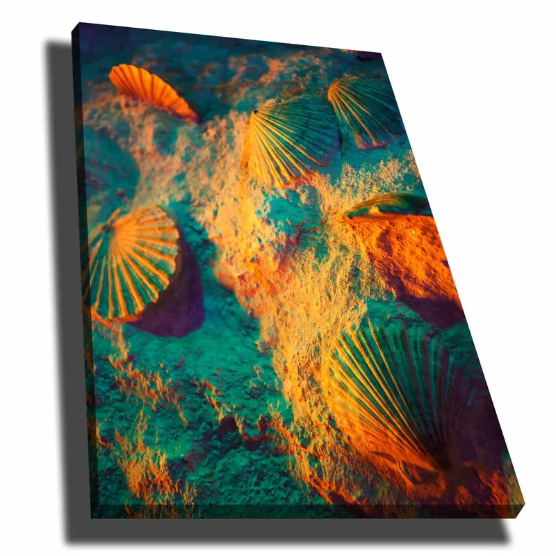 Lærred 70x100 cm - Skaldyr på sand med en farverig og drømmende baggrund, Turkis / Orange / Lilla