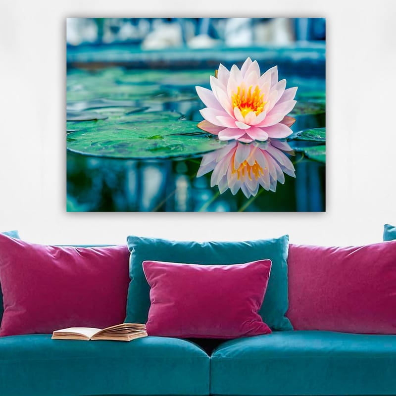 Lærred 70x100 cm - Smuk åkande der flyder på en rolig sø med grønne åkandeblade, Lyserød / Grøn / Gul