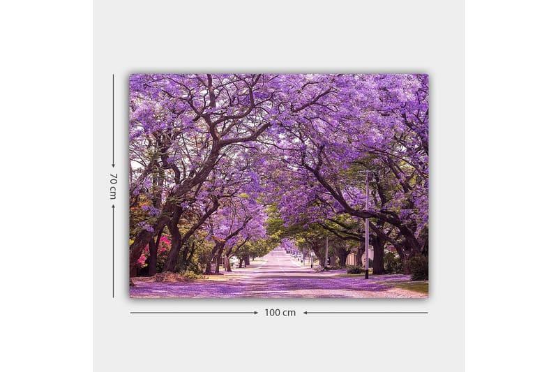 Lærred 70x100 cm - Smuk allé med lilla blomstrende træer, der skaber en drømmeagtig atmosfære - Lilla / Grøn - Boligtilbehør - Billeder & kunst - Billeder på lærred