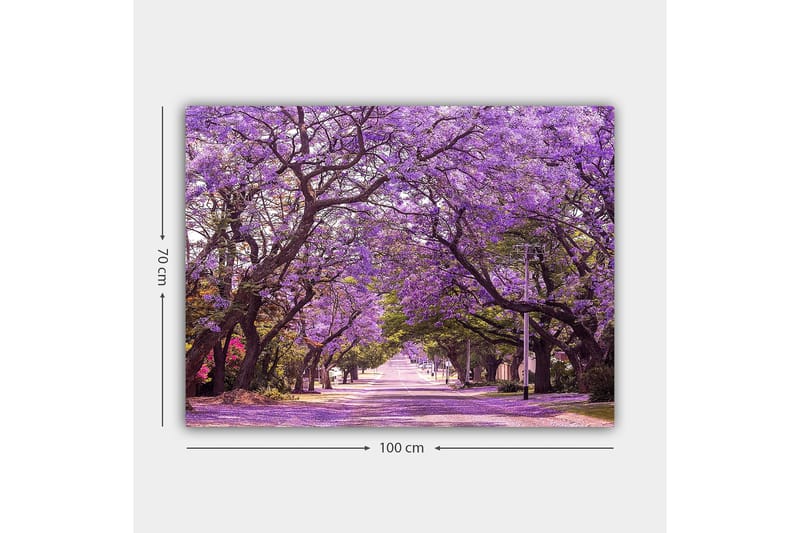 Lærred 70x100 cm - Smuk allé med lilla blomstrende træer, der skaber en drømmeagtig atmosfære - Lilla / Grøn - Boligtilbehør - Billeder & kunst - Billeder på lærred